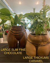 Load image into Gallery viewer, Booty Planter