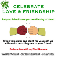 Load image into Gallery viewer, Besties