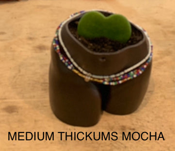 booty succulent planter Booty Planter – Crazy Plant Bae