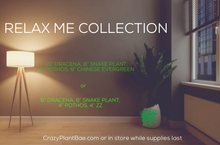 Load image into Gallery viewer, Relax Me Collection