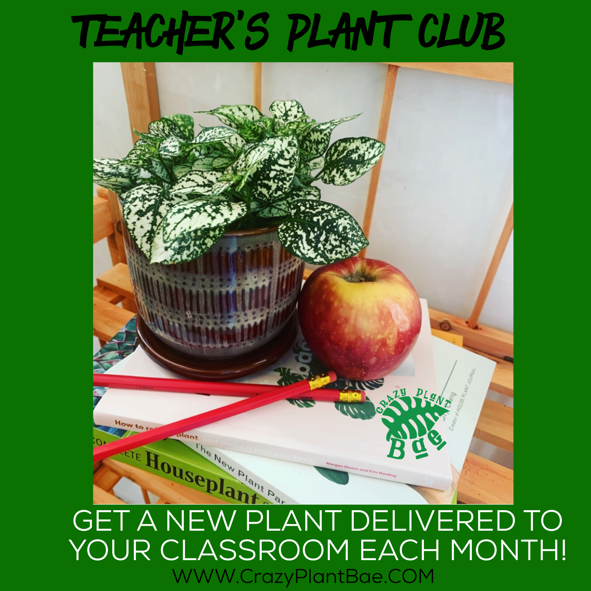 indoor plant of the month club Teacher's $15 Plant Club – Crazy Plant Bae