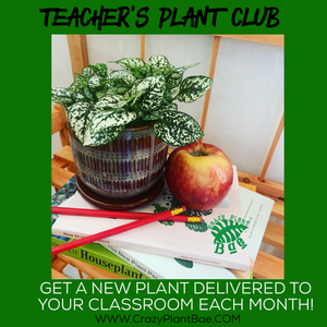 Teacher’s $15 Plant Club