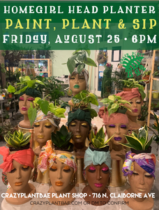 Head Planters Paint & Sip Friday August 25 6pm