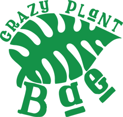 monstera plant crocs Monstera Crocs – Crazy Plant Bae