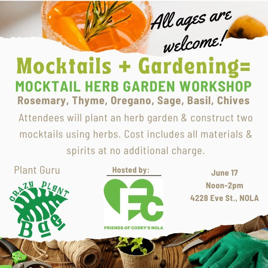 Cocktail Herb Garden & Sip