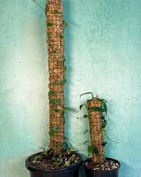 Moss Pole