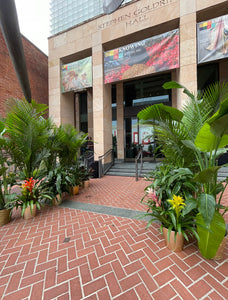 Plant Rental Package 5