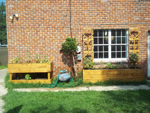 Planter4