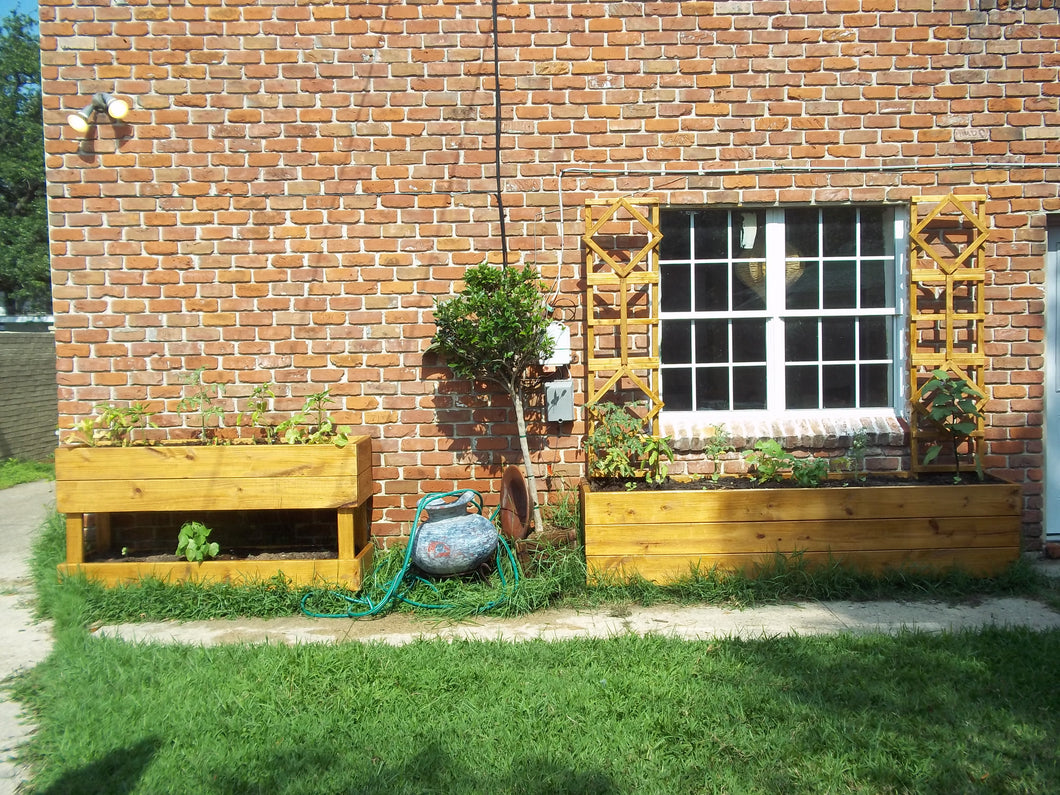 Planter4