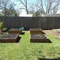 Planter6 - set or separate