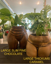 Load image into Gallery viewer, Booty Planter
