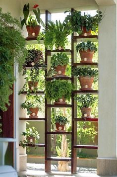 indoor wall plant stand Living Plant Wall