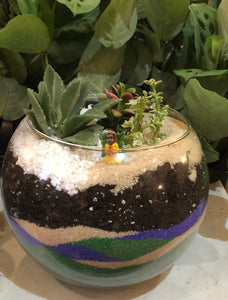 Terrarium & Sip - May 10, 2024