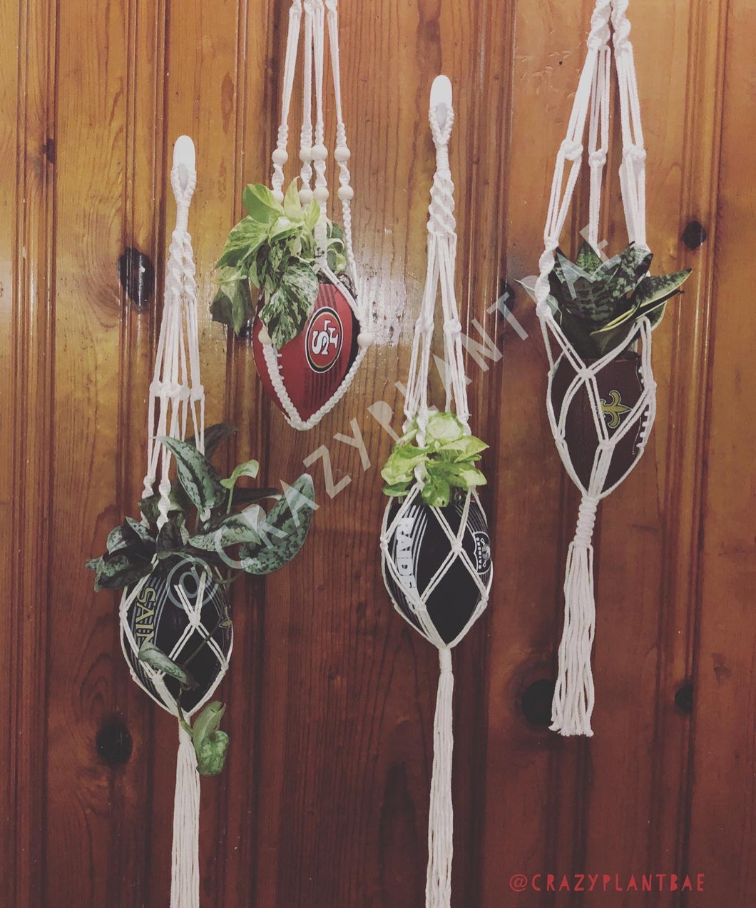 Single Hanging Footballs with Snake Plant