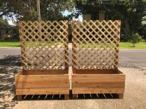 Cedar Raised Planters with Ladder Trellis