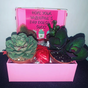 Valentine’s Day Succ