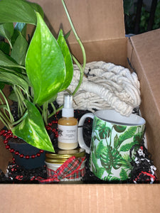 Holiday Gift Box