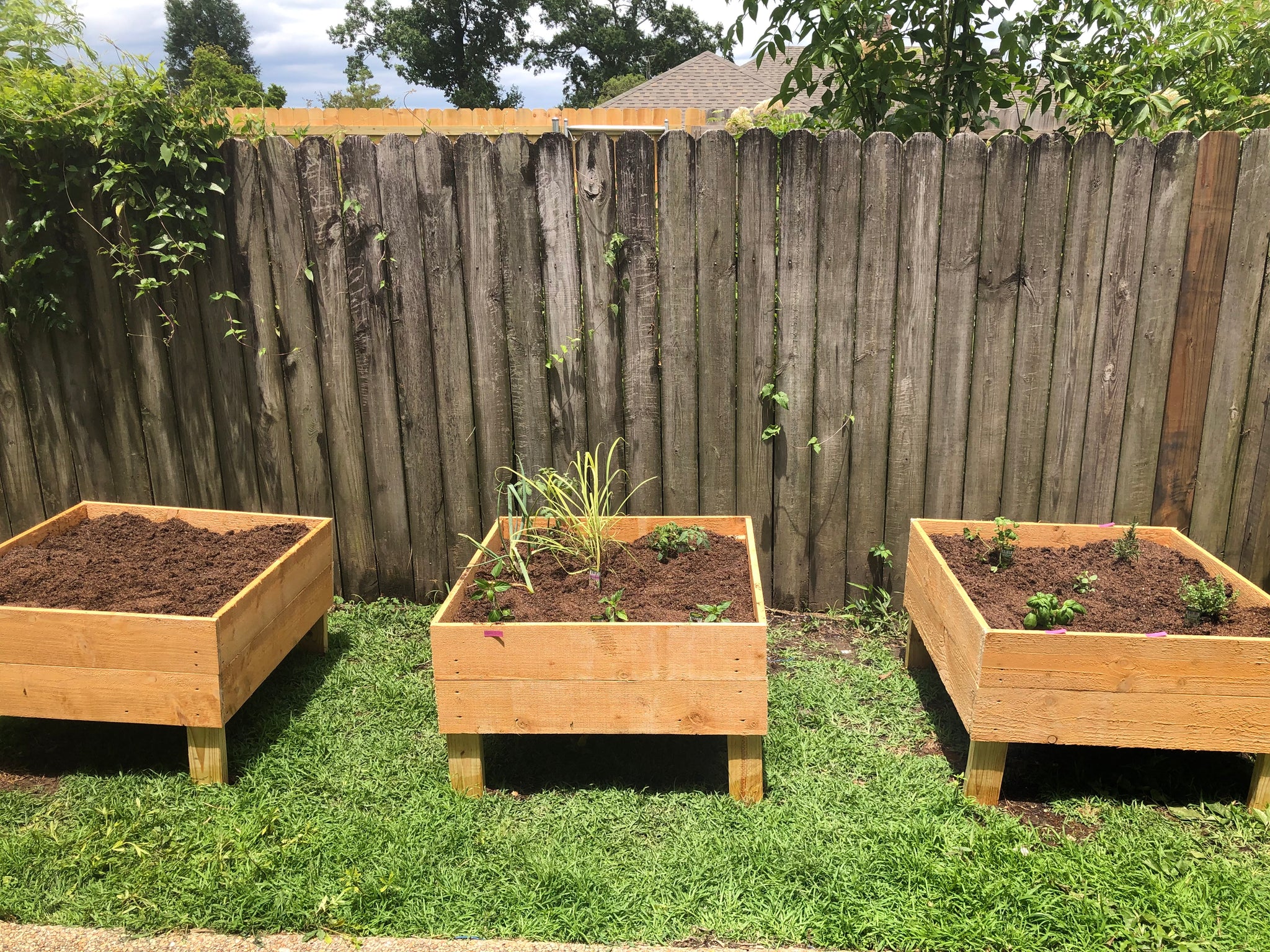 raised planters boxes Cedar Raised Planters – Crazy Plant Bae