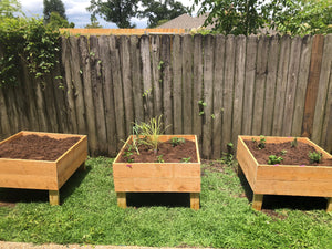 Cedar Raised Planters