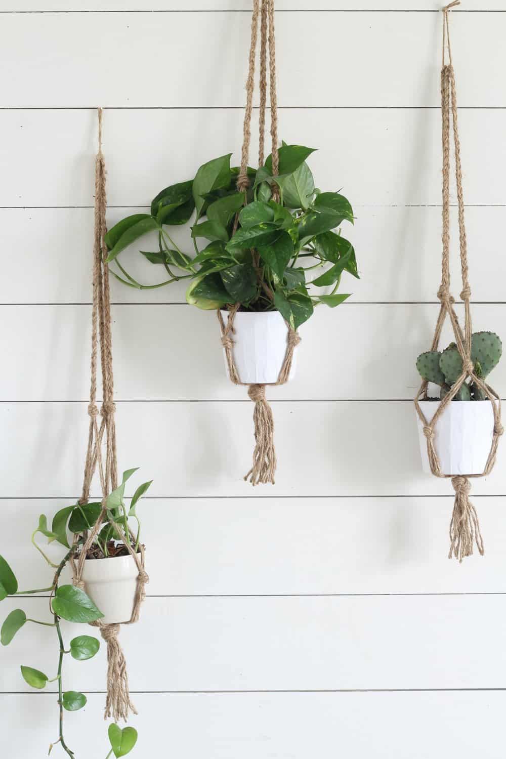 3 Macrame Planter – Crazy Plant Bae
